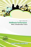 Hellinsia furfurosus