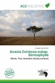 Acacia Coriacea subsp. Sericophylla