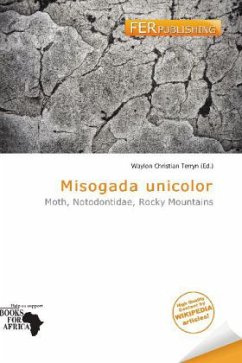 Misogada unicolor