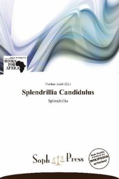 Cover Splendrillia Candidulus