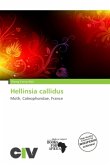 Hellinsia callidus