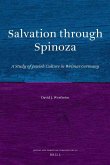 Salvation Through Spinoza: A Study of Jewish Culture in Weimar Germany