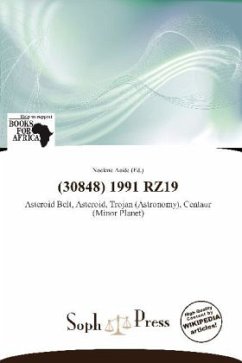 Cover (30848) 1991 RZ19