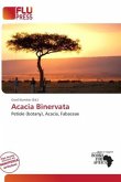 Acacia Binervata