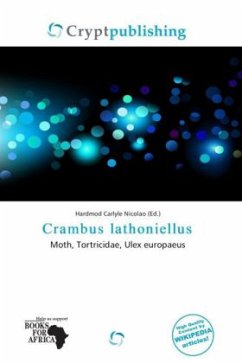 Cover Crambus lathoniellus