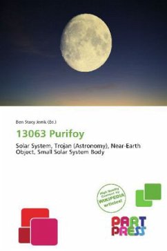 13063 Purifoy