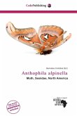 Anthophila alpinella