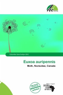 Cover Euxoa auripennis