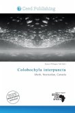 Colobochyla interpuncta