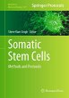 Somatic Stem Cells - Bild 1