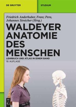 Waldeyer - Anatomie des Menschen