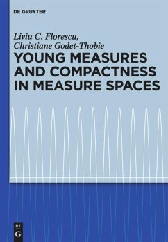 Young Measures and Compactness in Measure Spaces - Florescu, Liviu C.;Godet-Thobie, Christiane