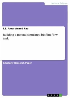 Building a natural simulated biofilm flow tank