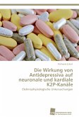 Die Wirkung von Antidepressiva auf neuronale und kardiale K2P-Kanäle