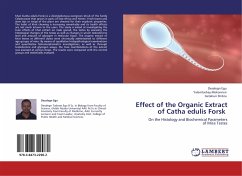 Effect of the Organic Extract of Catha edulis Forsk