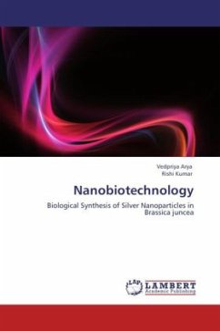 Nanobiotechnology - Arya, Vedpriya;Kumar, Rishi