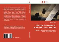 Sélection de variables et estimateurs de type LASSO - Hebiri, Mohamed