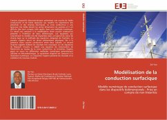 Cover Modélisation de la conduction surfacique