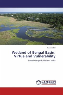 Wetland of Bengal Basin: Virtue and Vulnerability