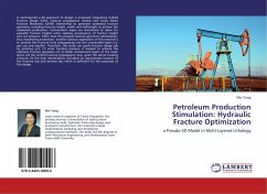 Petroleum Production Stimulation: Hydraulic Fracture Optimization