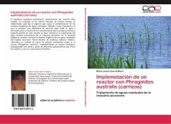 Implemetación de un reactor con Phragmites australis (carrizos) - García Marín, María Juana