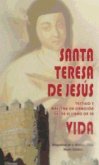 Santa Teresa de Jesús testigo y maestra de oración desde el libro de su vida
