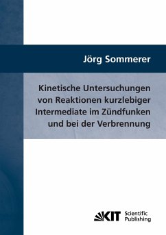 Kinetische Untersuchungen von Reaktionen kurzlebiger Intermediate im Zündfunken und bei der Verbrennung - Sommerer, Jörg