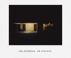 On This Site - Sternfeld, Joel