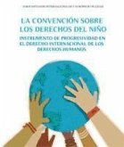 La convención sobre los derechos del niño : instrumento de progresividad en el dereho internacional de los derechos humanos