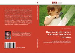 Dynamique des réseaux d¿actine d¿architecture contrôlée - Reymann, Anne-Cécile
