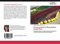 El pez guitarra Rhinobatos productus - Romo Curiel, Alfonsina Eugenia