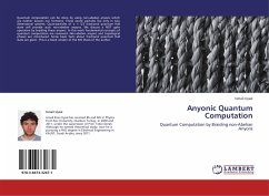 Anyonic Quantum Computation