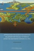 Approaches for Ecosystem Services Valuation for the Gulf of Mexico After the Deepwater Horizon Oil Spill