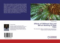 Effects of Offshoot Size and IBA on Rooting of Date Palm
