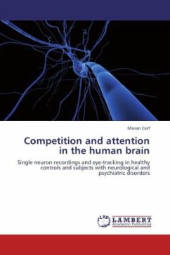 Competition and attention in the human brain