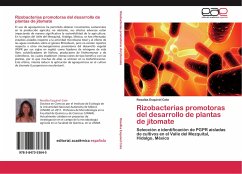 Rizobacterias promotoras del desarrollo de plantas de jitomate