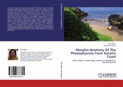 Morpho-Anatomy Of The Phaeophycota From Karachi Coast - Abbas, Alia;Shameel, Mustafa