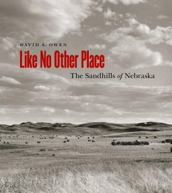 Like No Other Place - Owen, David