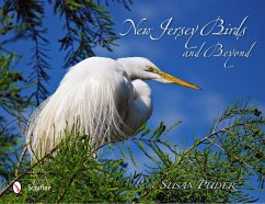 New Jersey Birds and Beyond - Puder, Susan