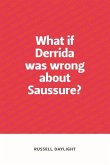What If Derrida Was Wrong about Saussure?