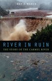 River in Ruin