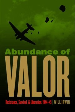 Abundance of Valor - Irwin, Will