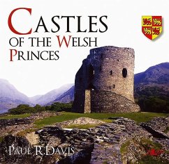 Castles of the Welsh Princes - Davis, Paul R
