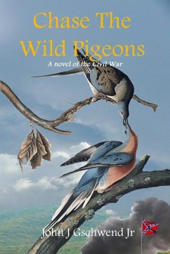 Chase The Wild Pigeons - Gschwend, John