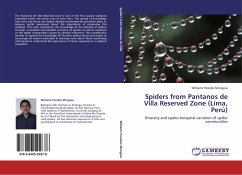 Spiders from Pantanos de Villa Reserved Zone (Lima, Perú)