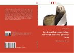 Les troubles endocriniens du furet (Mustela putorius furo)