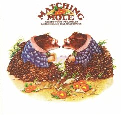 Matching Mole ~ Expanded Edition - Matching Mole