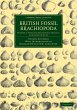 British Fossil Brachiopoda - Volume 1 - Bild 1
