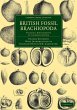 British Fossil Brachiopoda - Bild 1