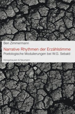 Cover Narrative Rhythmen der Erzählstimme